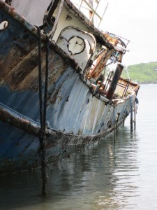 Rotten but not forgotten, the Carla Marina