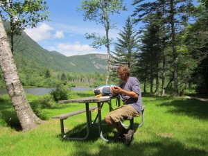 Appalachian Trail, New Hampshire