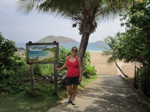 Anse Des Flamandes - St. Barts